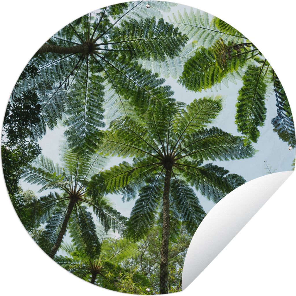 MuchoWow Gartenposter Outdoor-Poster Rund Bäume und Blätter im Dschungel Ø 120 cm Gartendeko Rundes Poster draußen