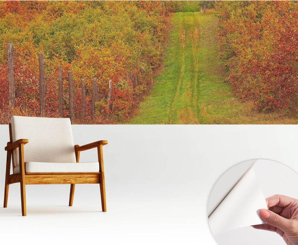 Fototapete selbstklebend - 250x104 cm - Tapete - Wandtapete - Wandbilder - Klebefolie - Dekofolie - Tapete Folie - Wand - Dekoration - Wohnzimmer -...