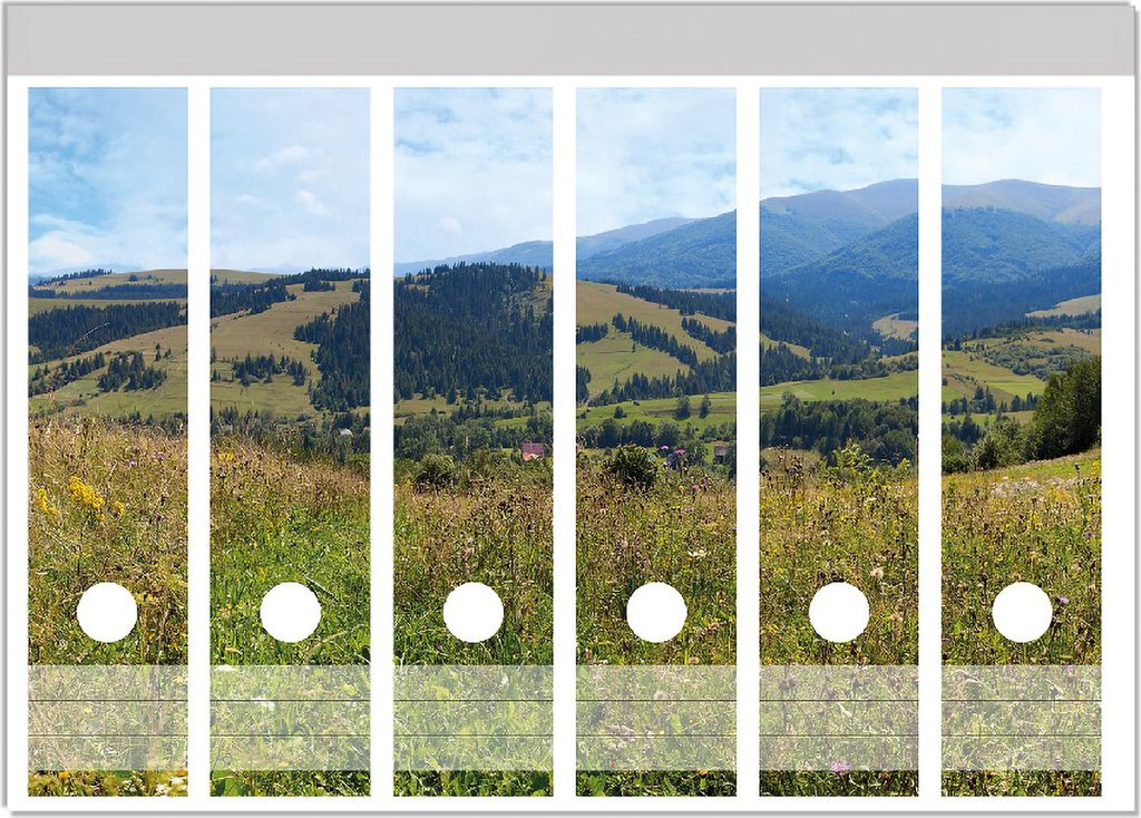 Wallario Ordnerrücken Sticker, selbstklebend für breite Ordner, 6 Stück, Motiv Bergwiese in den Karpaten