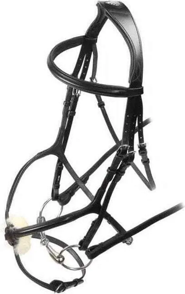 Bridon Grackle Velociti ER1049 en cuir de haute qualité noir taille Full