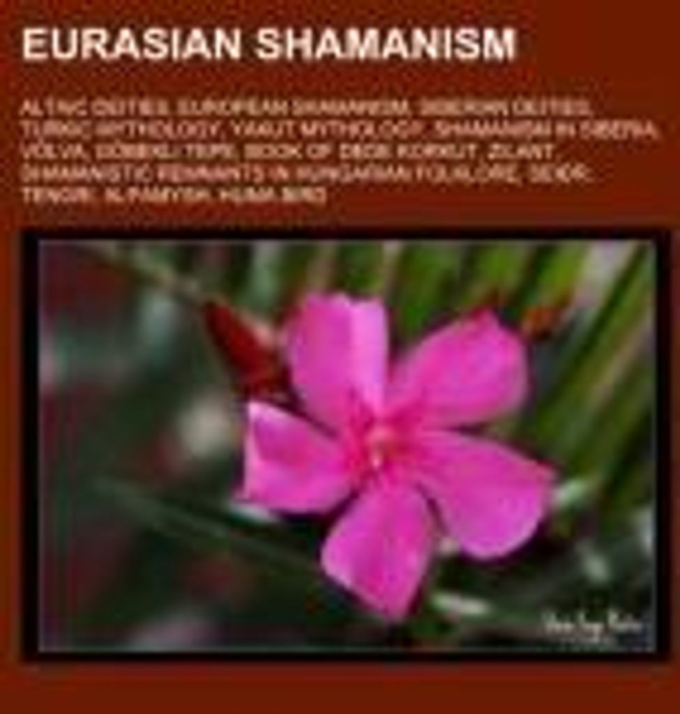Eurasian shamanism