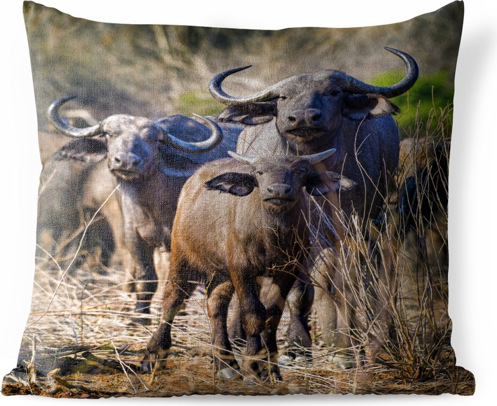 MuchoWow Outdoor Kissen - Gruppe von neugierigen Büffeln - 50x50 cm - Wetterfest - Lounge Kissen - Komfortabel - Kissen mit Bild