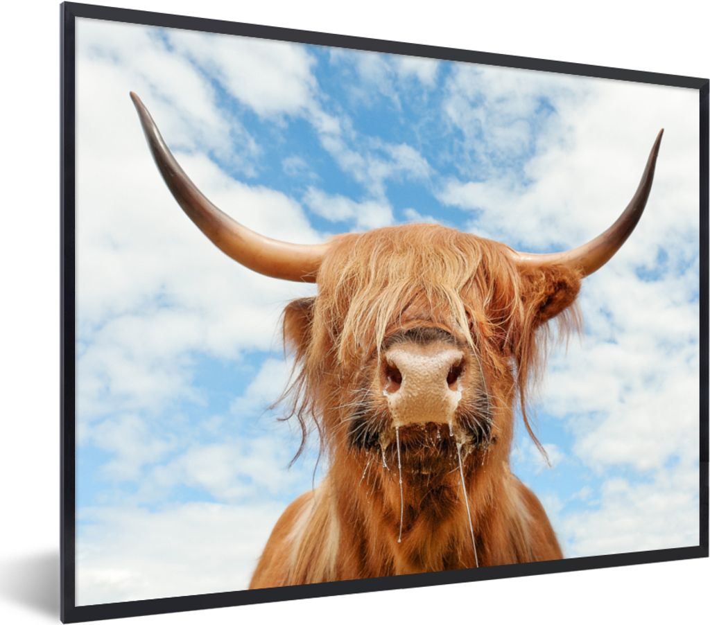MuchoWow Gerahmtes Poster Schottischer Highlander - Wolke - Tiere 40x30 cm - Poster mit Schwarzem Bilderrahmen Wandposter Rahmen Foto Bilder - Ku...