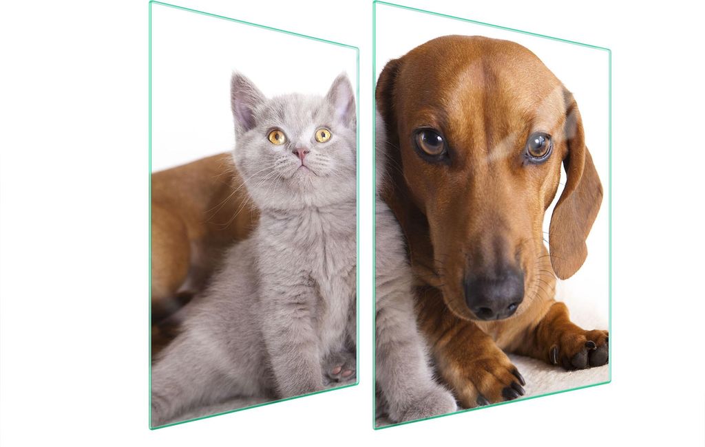 Glasschutzplatte Für Herd 70X52 Tiere