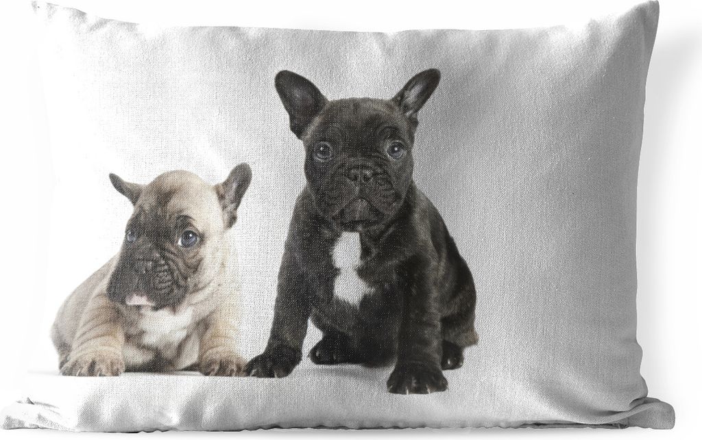 MuchoWow Outdoor Kissen - Zwei Bulldoggenwelpen sitzen vor einem weißen Hintergrund - 50x30 cm - Wetterfest - Lounge Kissen - Sofa kissen - Wohn...