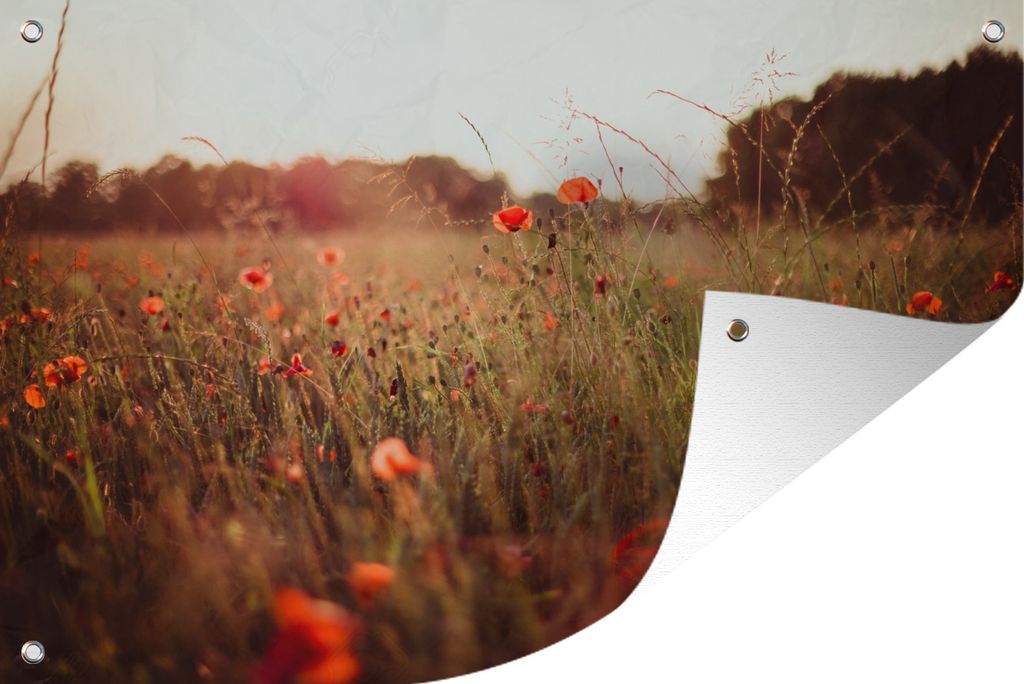 MuchoWow 60x40 cm Outdoor-Poster Gartendeko Sichtschutz Garten Poster für den Garten Sonnenuntergang - Blumen - Rot