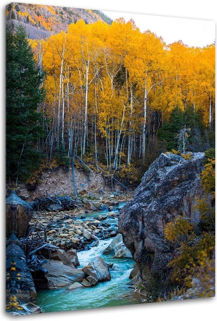 Leinwandbild bergbach felsen wald bäume natur 40x60 cm Feeby gelb wandbild bereit zum aufhängen