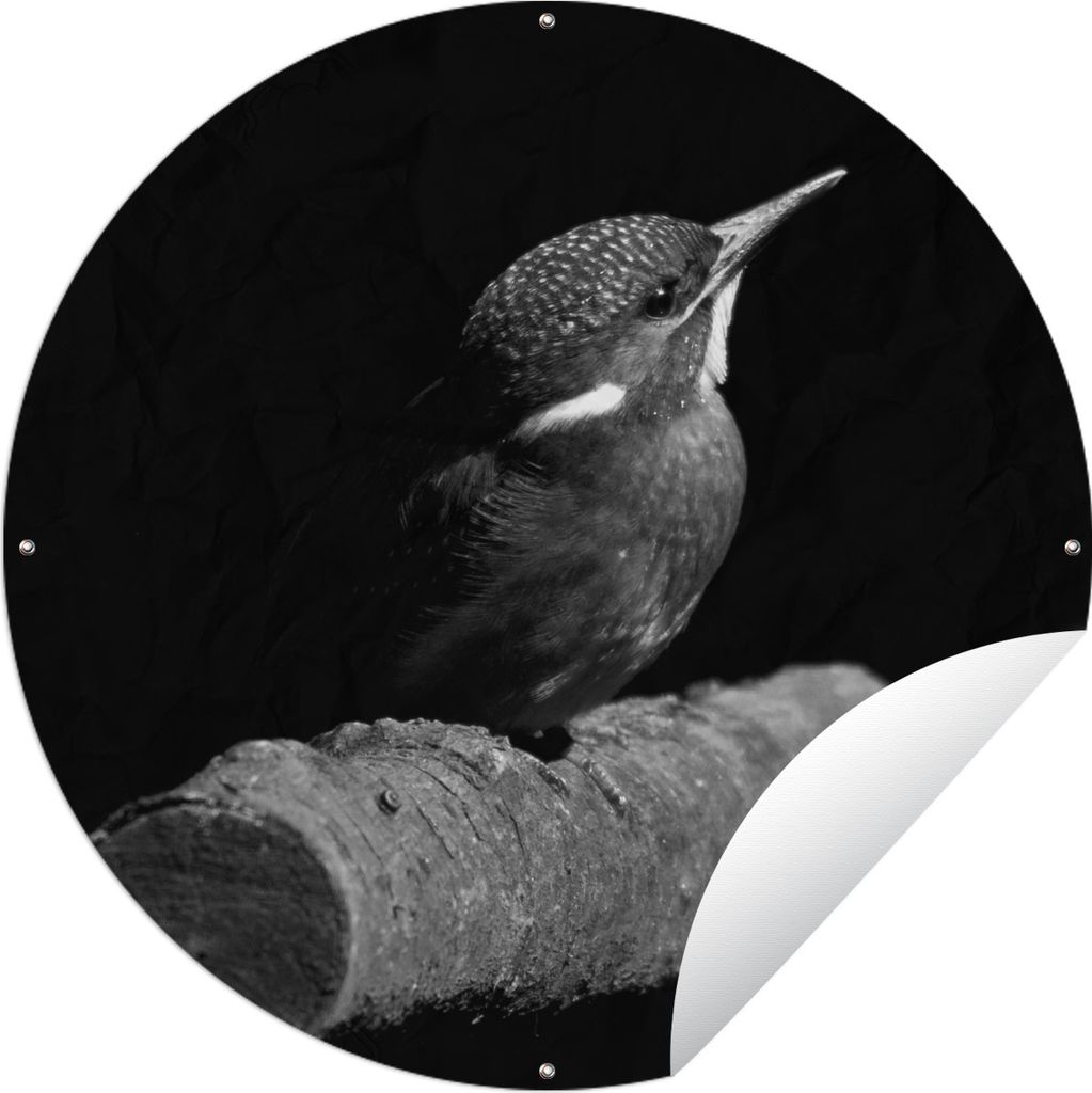 MuchoWow Gartenposter Outdoor-Poster Rund Eisvogel - Federn - Vogel - Schwarz und weiß Ø 90 cm Gartendeko Rundes Poster draußen