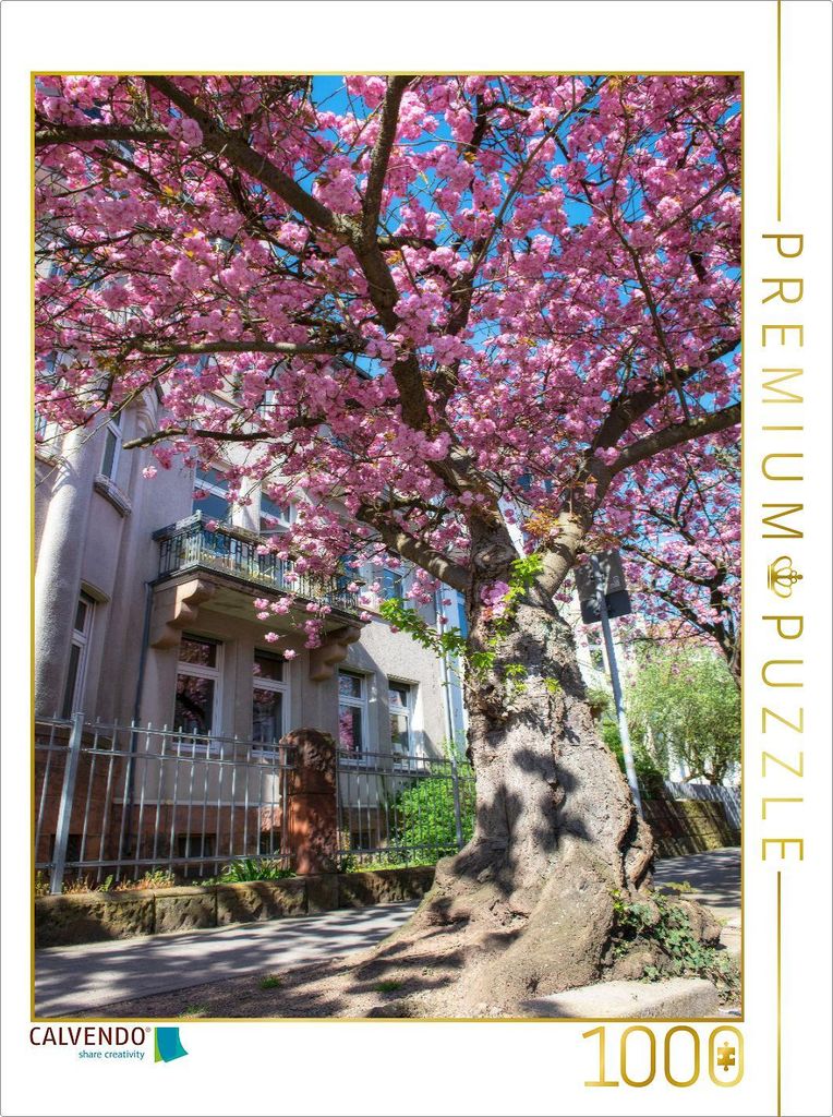 CALVENDO Puzzle Die Stresemannstrasse im Blütenzauber. 1000 Teile Puzzle hoch | 1000 Teile Lege-Größe 64x48cm Foto-Puzzle für glückliche Stunden