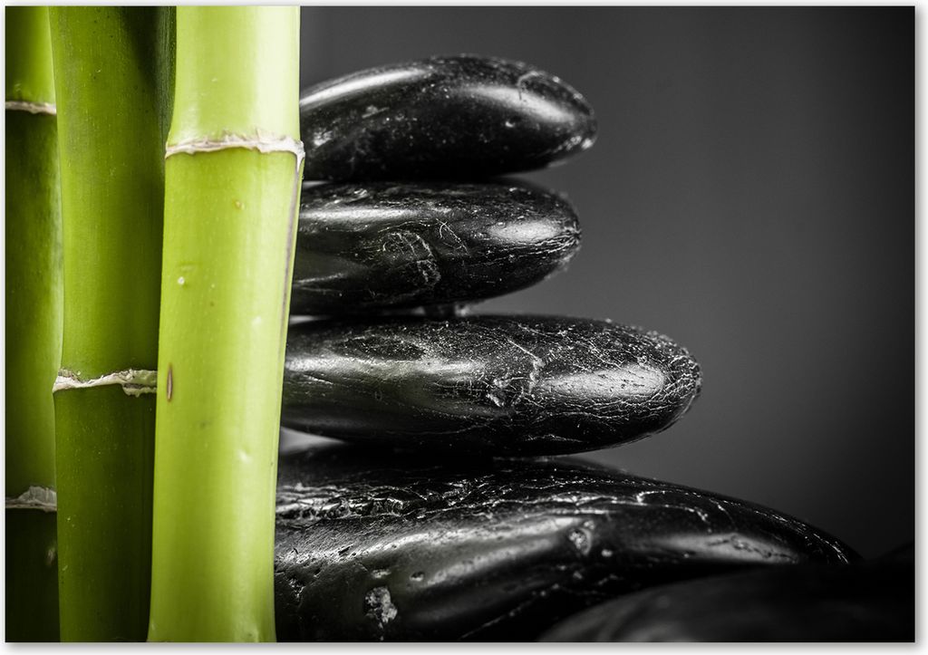 Tulup Leinwandbild - 100x70 cm - Wandkunst - Drucke auf Leinwand - Leinwanddruck - Blumen & Pflanzen - Schwarz - Bambus