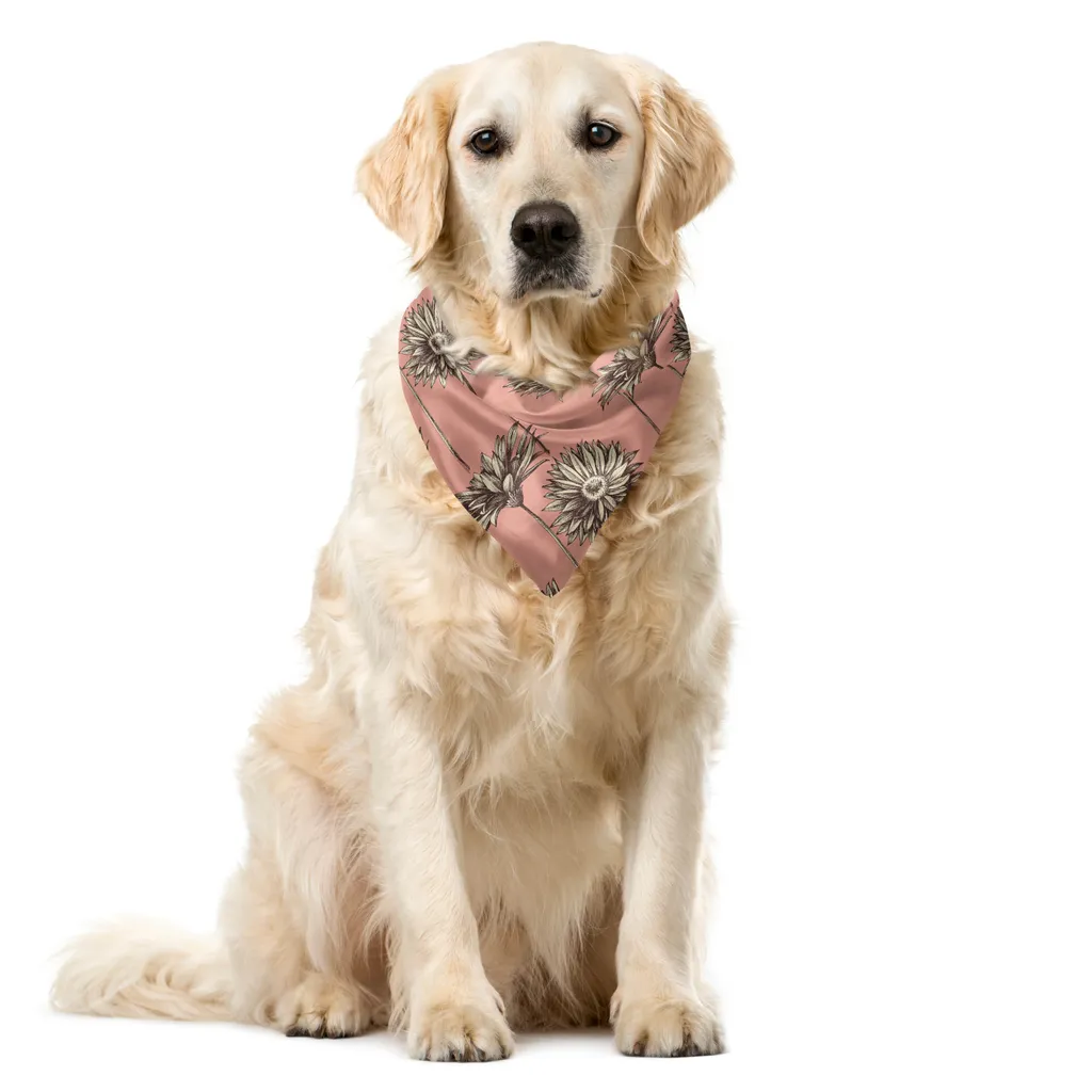 Bandana Cane 40x40 ABAKUHAUS - Fiori Margherite Taupe Retrò