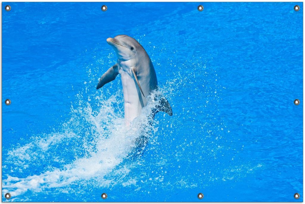 Wallario Outdoor-Poster für Garten oder Balkon, Motiv Fröhlicher Delfin im blauen Wasser, in ca. 100 x 150 cm