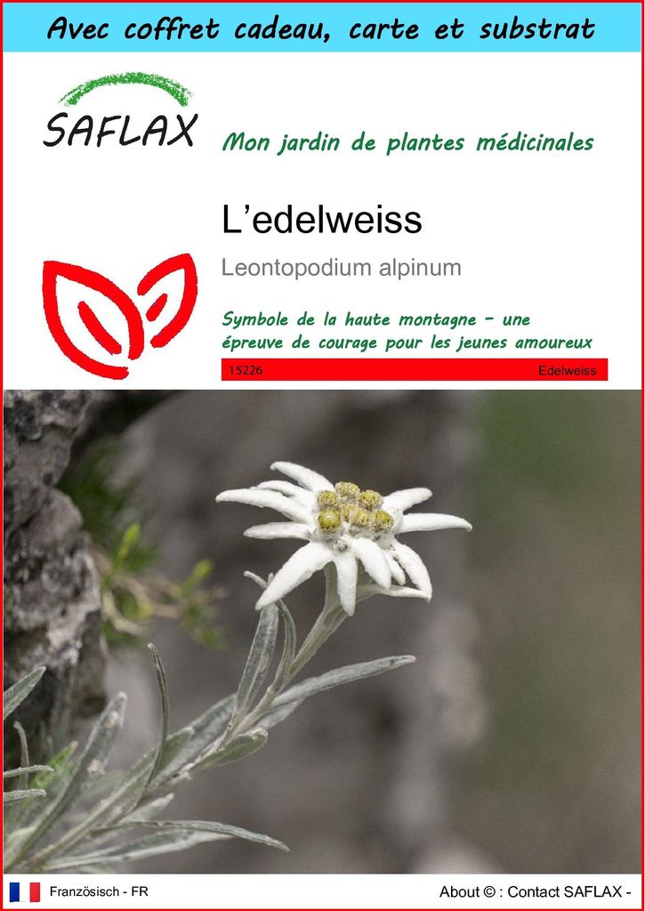 SAFLAX Ensemble-cadeau - L’edelweiss - 500 graines - Image du produit 