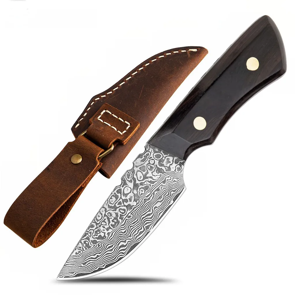 Coltello Versatile Mini per Outdoor e Cucina: Design e Precisione