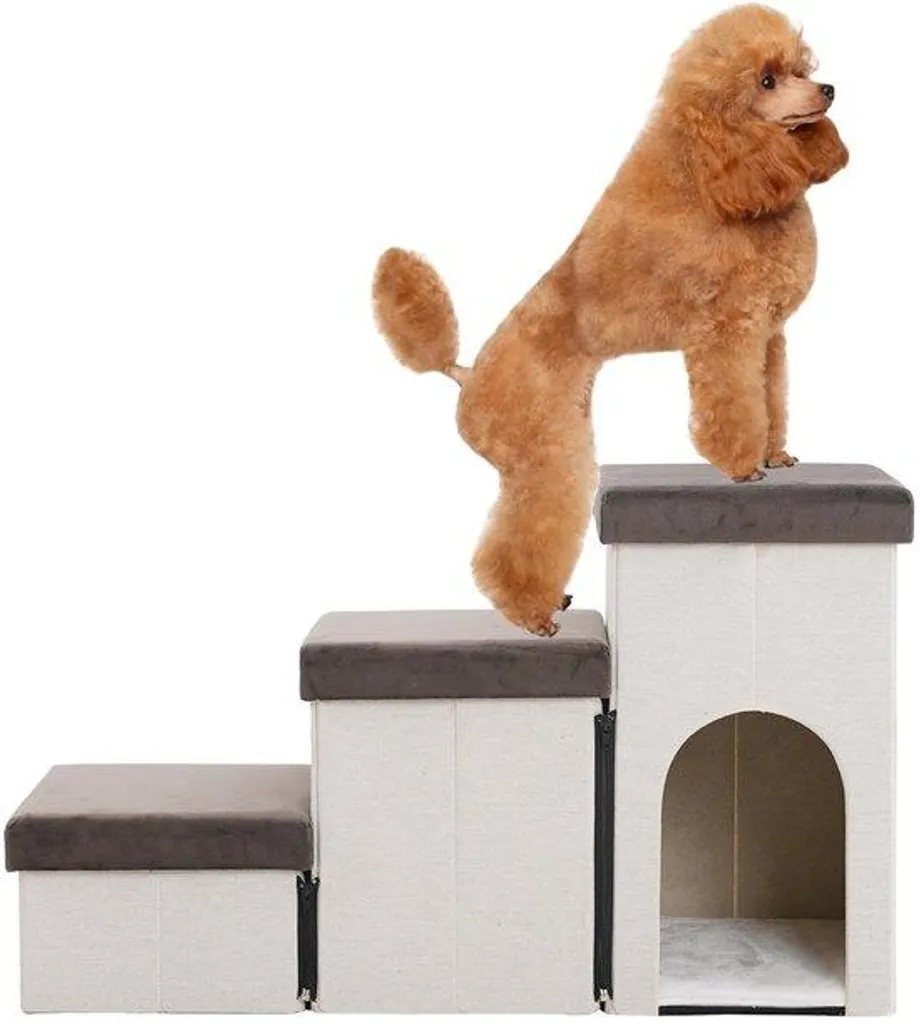 Escalier pour chien de 44 cm en mousse beige pour canapé et lit élevé