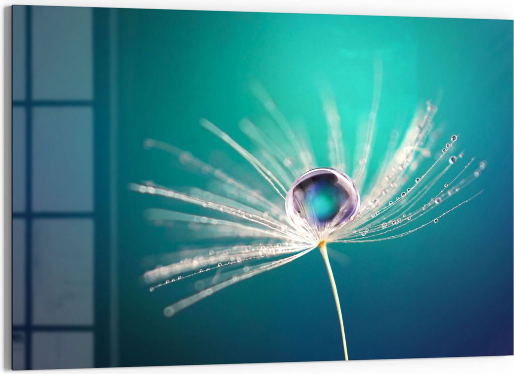 DEQORI Glasbild Echtglas 90x60 cm 'Inszenierte Wasserperle' Wandbild Bild modern Deko