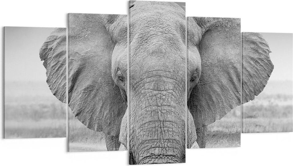 Bild auf Leinwand - Leinwandbild - 5 Teile - Elefant Afrika Produktbild 