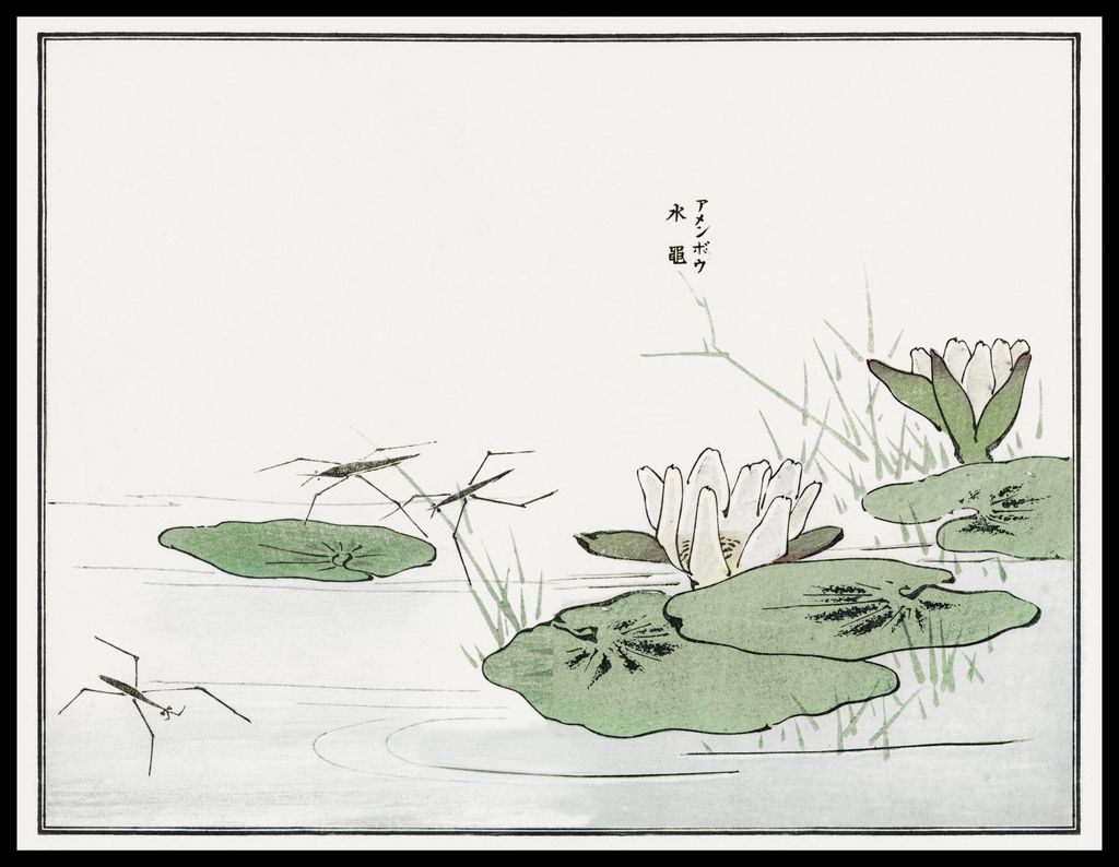 Plakat 65x50cm Nartniki im Morimoto Teich Japanisch Vintage für das Wohnzimmer