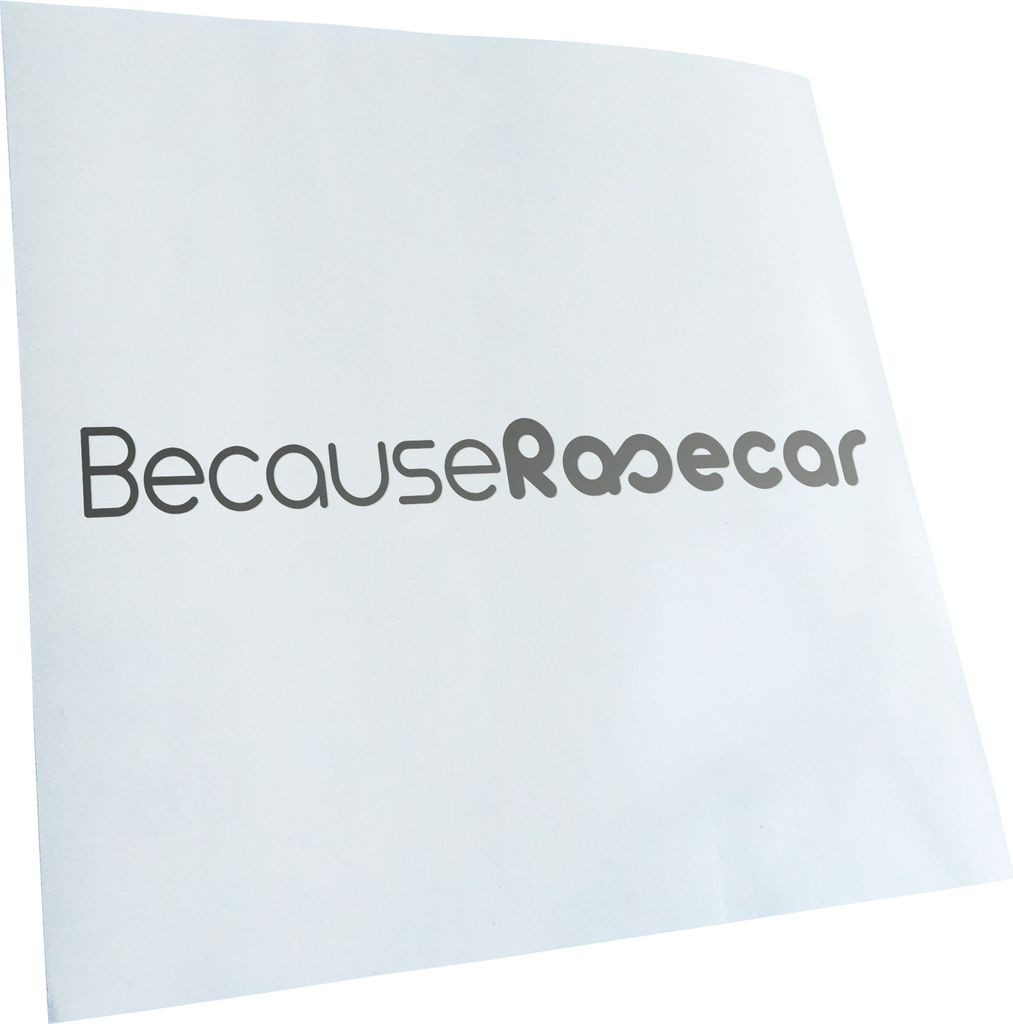 Kiwistar - Autoaufkleber - silber - 40 x 4 cm - Because Rasecar - Heckscheibenaufkleber - Aufkleber für Auto Kfz Fahrrad, LKW, Truck Mofa