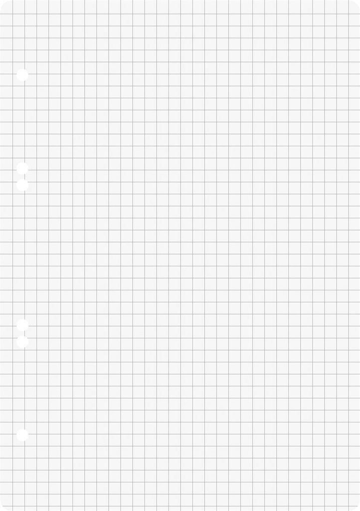 A blank sheet of graph paper with three punched holes on the left side.