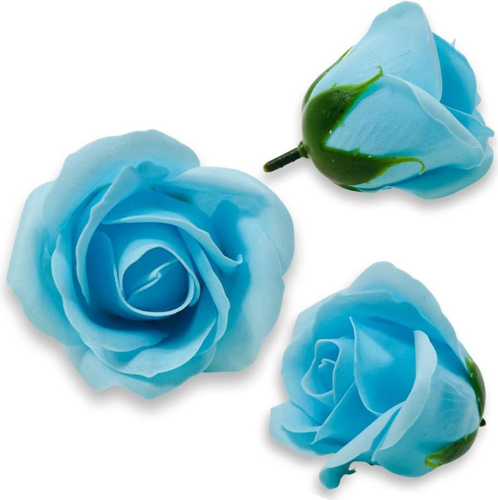 Hellblaue Seifenrose