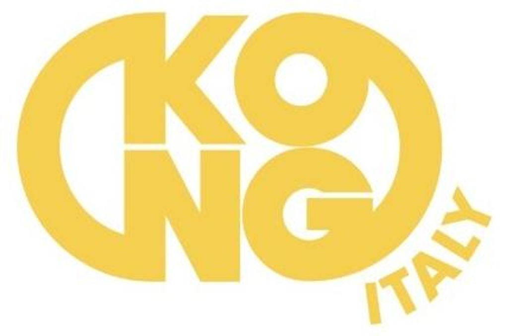 KONG Alu-Karabinerhaken "PADDLE" 110 mm, rot, Paddelsicherung