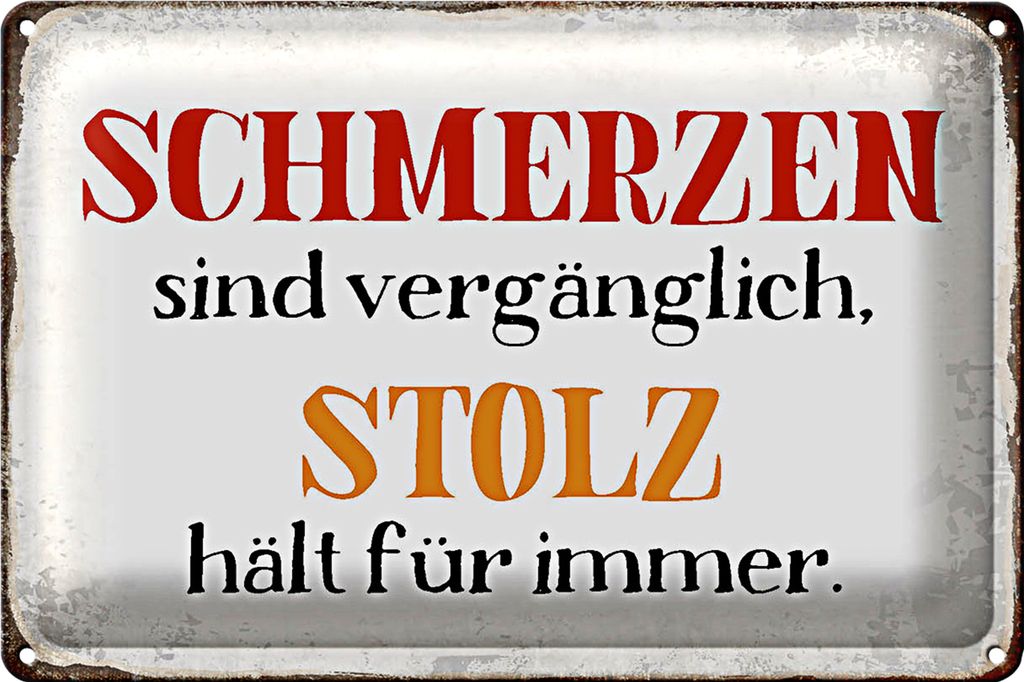 Blechschild Spruch 18x12cm Schmerzen Solz hält für immer