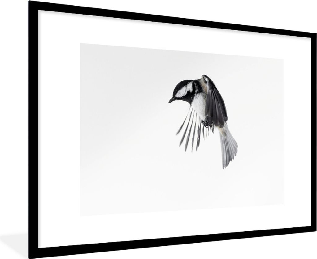 MuchoWow Gerahmtes Poster Vogel - Federn - Schwarz - Weiß 90x60 cm - Poster mit Schwarzem Bilderrahmen Wandposter Rahmen Foto Bilder - Wanddekor...