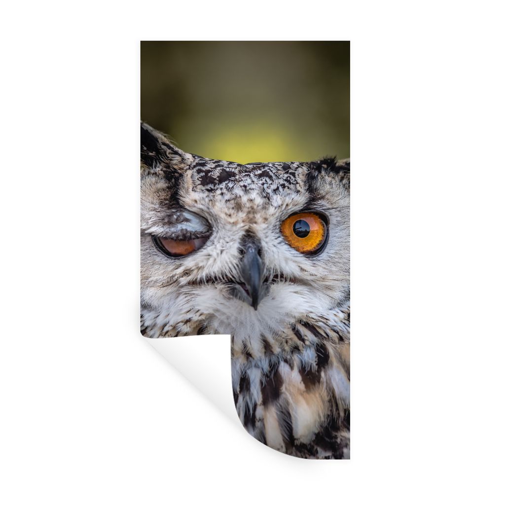 MuchoWow Wandtattoo Wandsticker Wandaufkleber Eule - Auge - Orange 80x160 cm Selbstklebend und Repositionierbar - Sticker - Dekorfolie