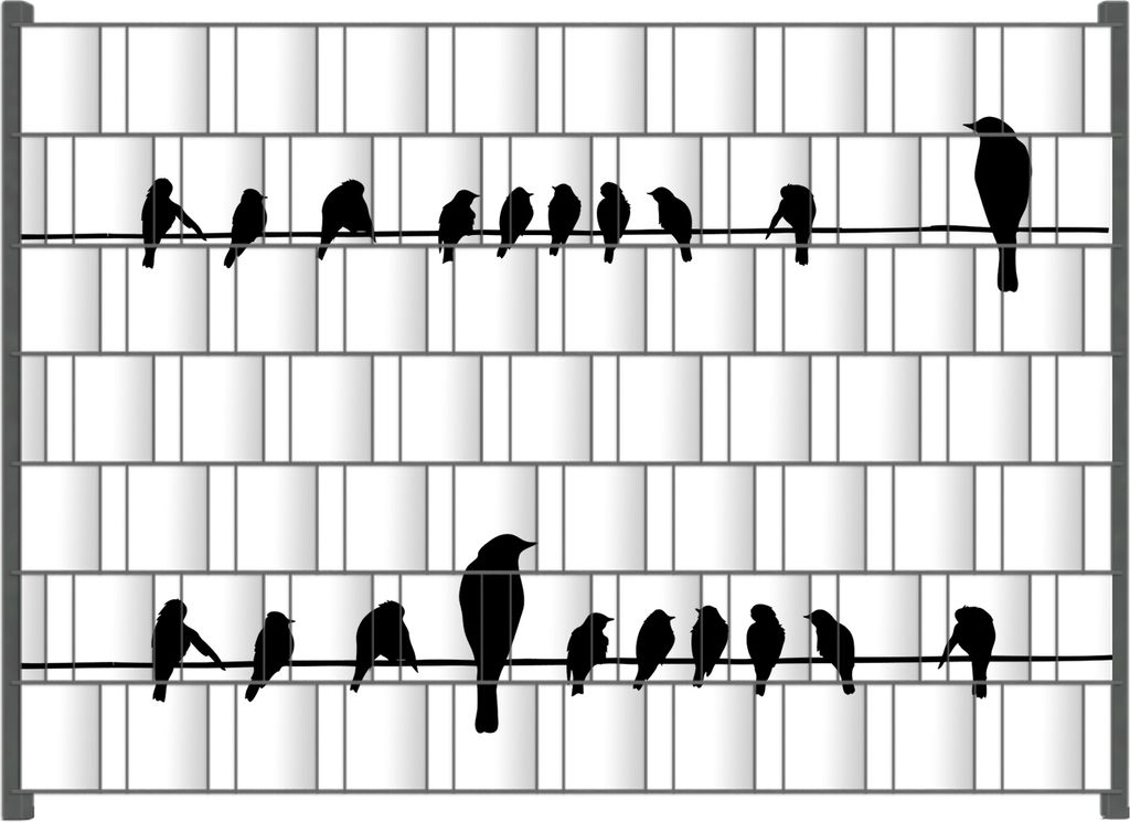Wallario Zaunsichtschutz mit Motiv Vögel auf einer Stromleitung für Ein- und Doppelstabmatten Zäune in der Größe 200 x 140 cm