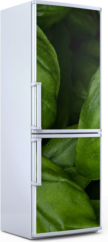 Magnete Dekorative - 70 cm x 190 cm - Küche - Magnetmatte Kühlschrankmagnete - Frisches Grünes Basilikum