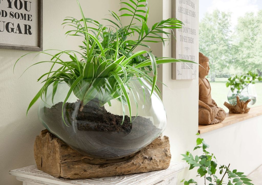 Drop Deco Glas Teak Natur