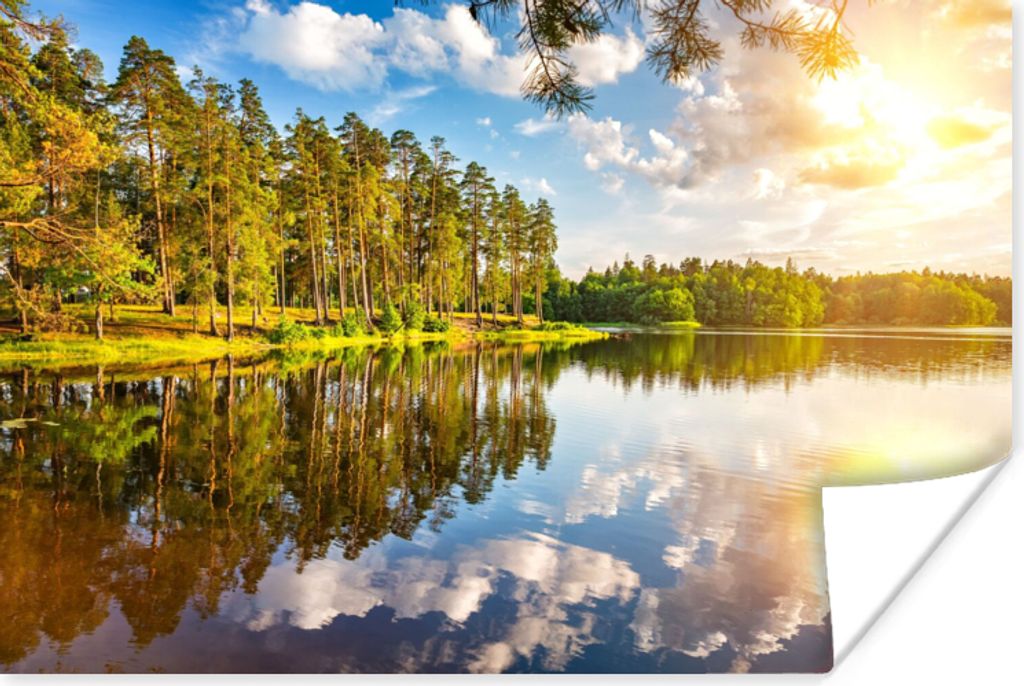 MuchoWow Poster Bäume - Wasser - Sonne 90x60 cm - Schlafzimmer