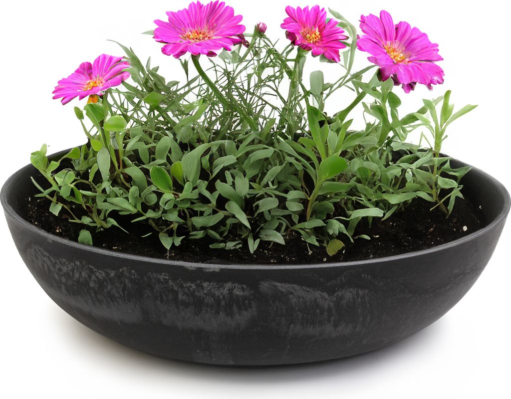 Runde bauchige 30 cm Pflanzschale für draussen, schwarz Produktbild 