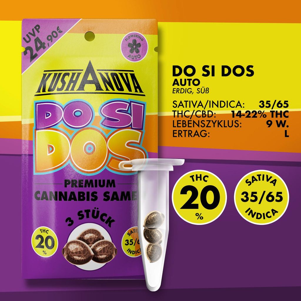 Graines de cannabis Kushanova - Do Si Dos Image du produit 