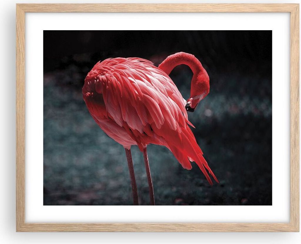 Gerahmtes Poster - Rahmen in heller Eiche - Flamingo Rosa Vogel - 50x40 cm - Wand Bild - Wanddeko - Wandbilder - Kunstposter - Wandposter - Bilderr...