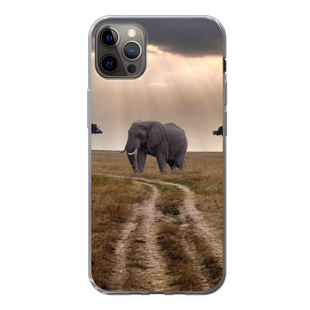MuchoWow Handyhülle Schutzhülle Hülle für iPhone 12 Pro Max Elefant - Tiere - Wiese - Sonne Silikon Softcase Handy Hülle - Hartschale