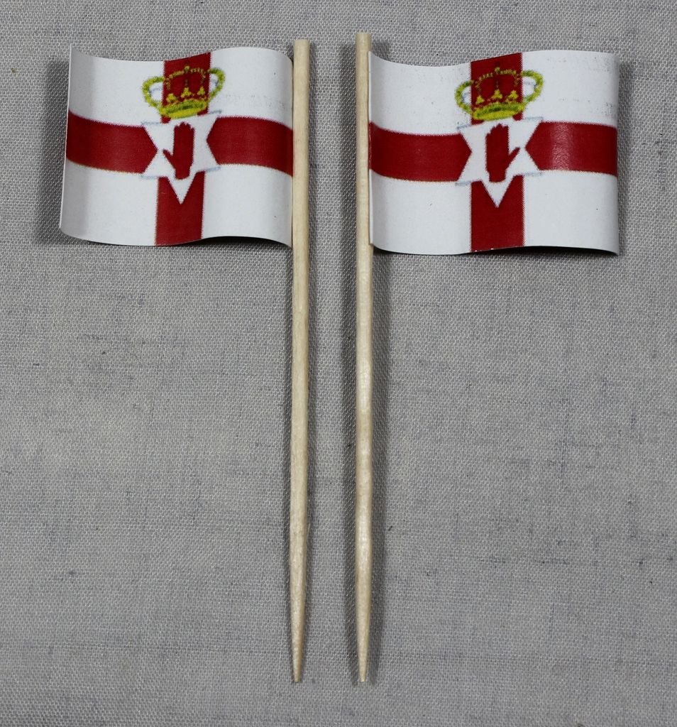 Party-Picker Flagge Nordirland Papierfähnchen in Spitzenqualität 25 Stück Beutel