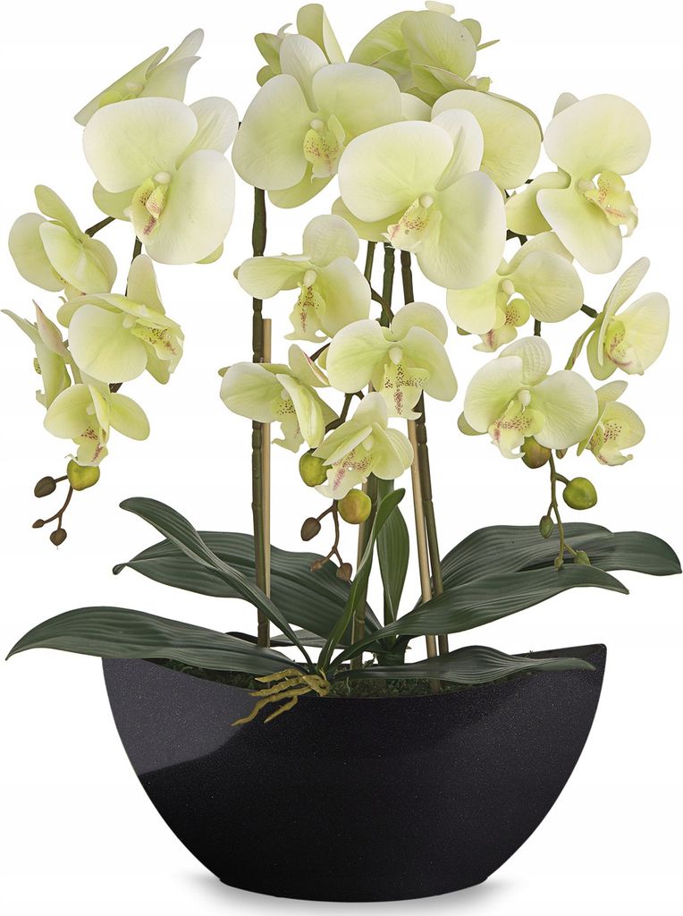 Blumengesteck Orchideengesteck Tischgesteck Tischdeko Produktbild 