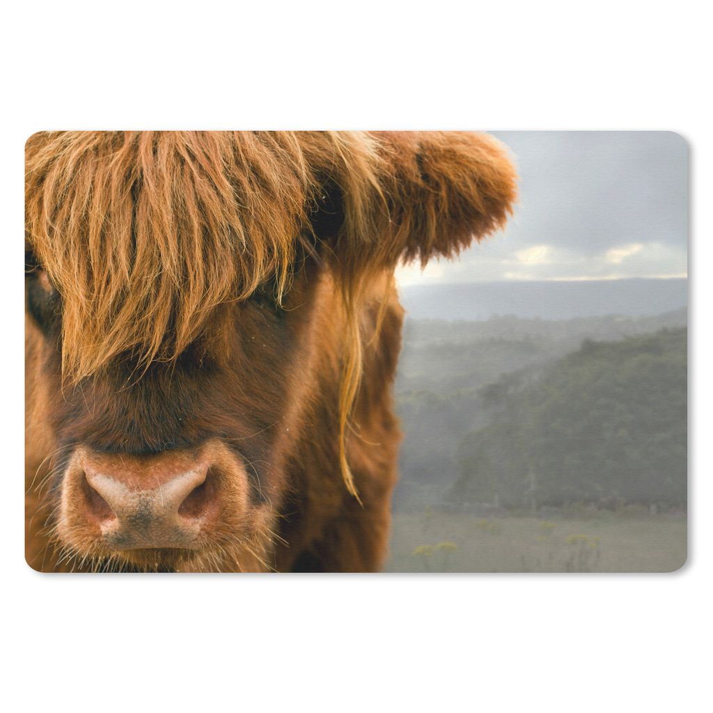 MuchoWow Schreibtischunterlage Schottischer Highlander - Orange - Nase 60x40 cm - XXL Mauspad - Großes Mauspad