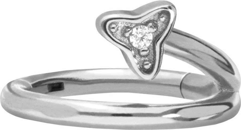 Ohrpiercing, Nasenpiercing, Septum Piercing Chirurgenstahl Segmentring Clicker KRISTALLBLATT Silber Innendurchmesser: 8 mm