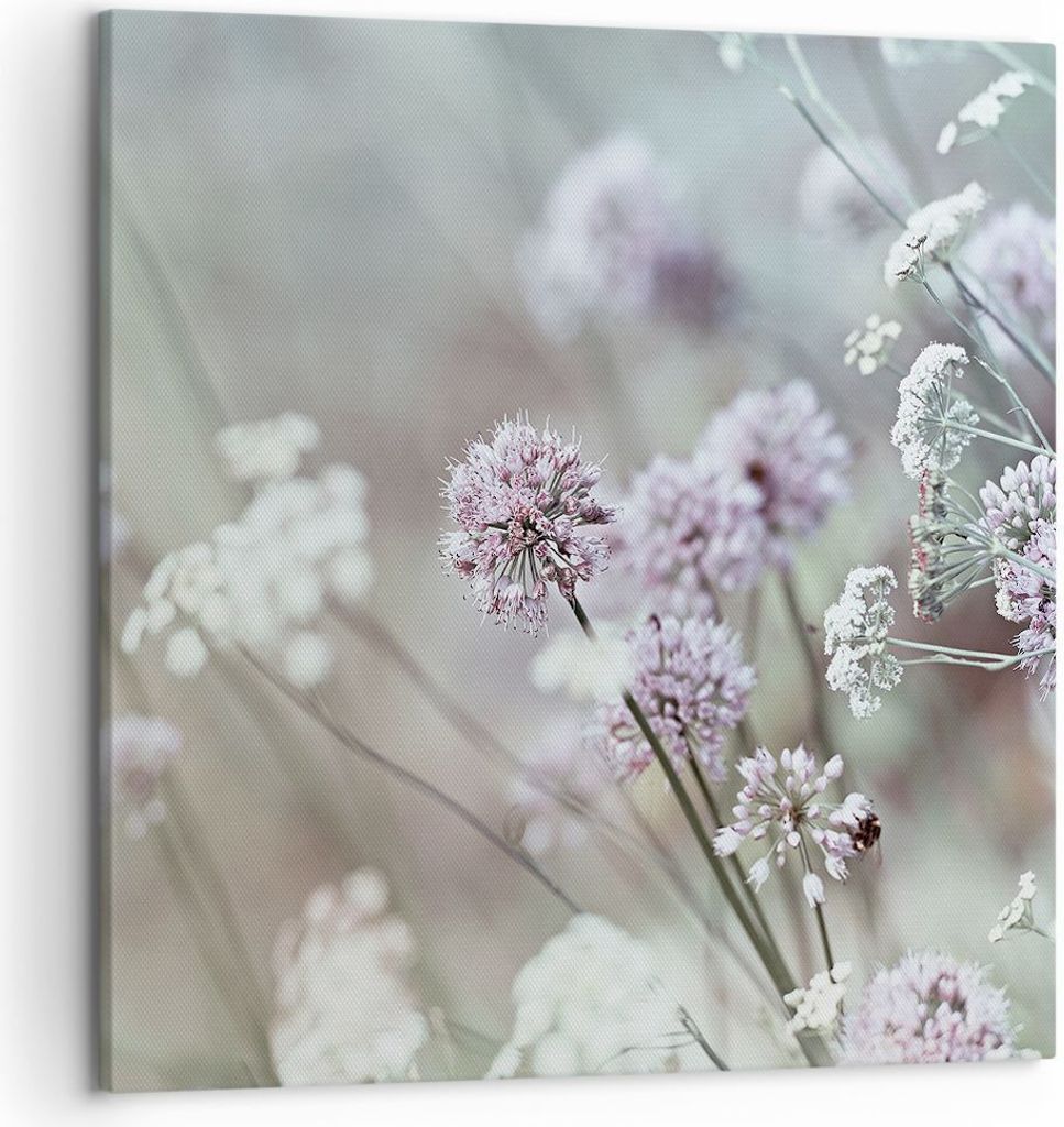 Bild auf Leinwand - Leinwandbild - Einteilig - Wiese Knoblauch Blume - 50x50cm - Wand Bild - Wanddeko - Wandbilder - Leinwanddruck - Bilder - Wandd...