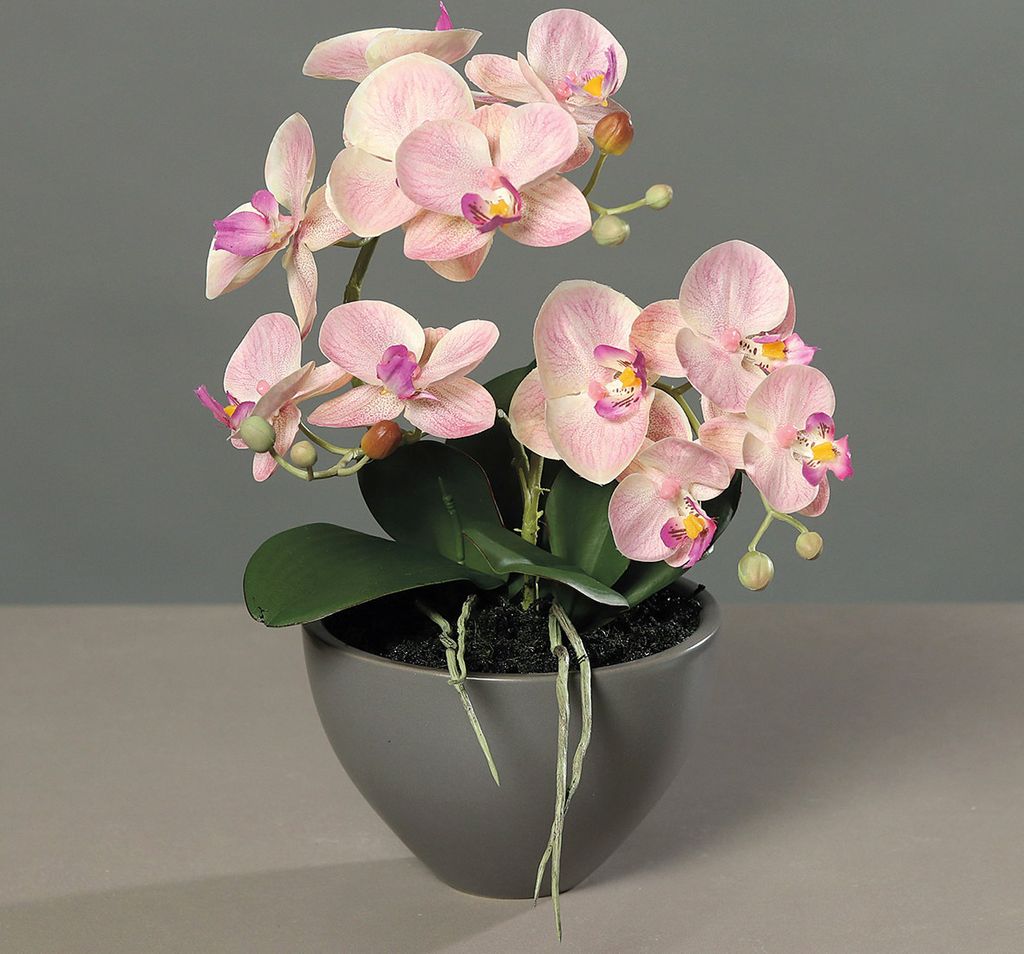 künstliche Orchidee, Phalaenopsis in Keramikschale 35cm Produktbild 