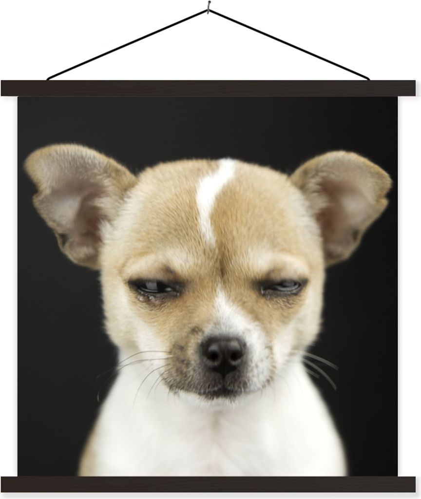 MuchoWow Textilposter Hund - Haustiere - Porträt 60x60 cm mit schwarzem Rahmen - Posteraufhänger