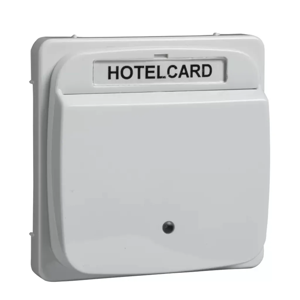 Plaque centrale Elso 203054 blanc pur pour commande Hotelcard SCALA RIVA