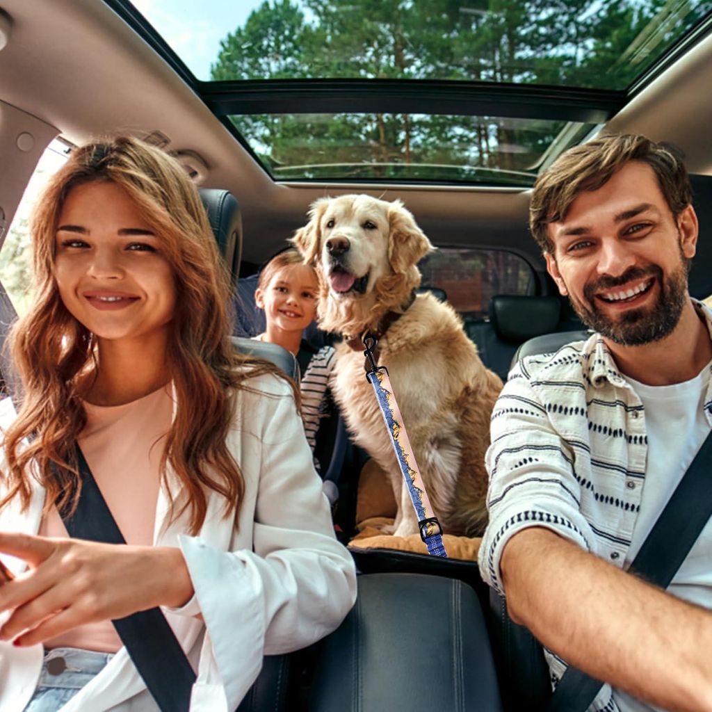 Elastische Sicherheitsgurt für Hunde im Auto - Verstellbares Bungee-Gurt mit reflektierendem Nylon