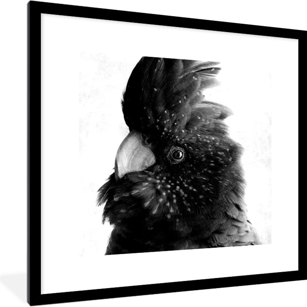 MuchoWow Gerahmtes Poster Nahaufnahme eines Kakadus vor einem konkreten Hintergrund - schwarz und weiß 40x40 cm - Poster mit Schwarzem Bilderrah...