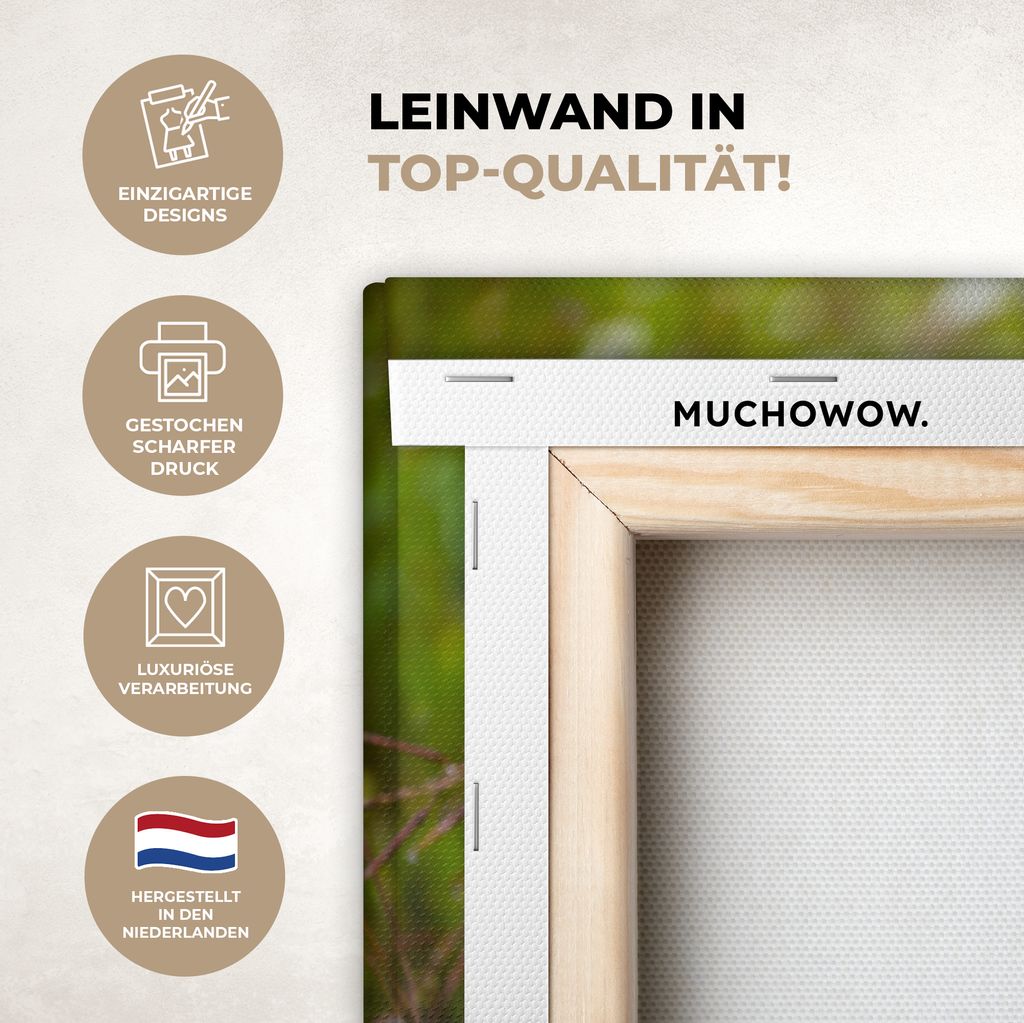 MuchoWow - Leinwandbilder - Blumen - Natur - Grün - Gras - Lila - Weiß, Wandbild, Wanddeko Bilder Wohnzimmer, 60x40 cm