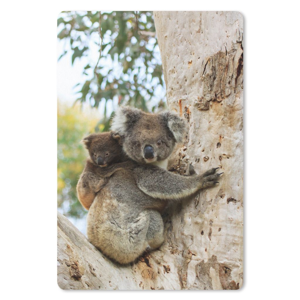 MuchoWow Mauspad Mousepad Koalas - Kind - Baum - Kinder - Junge - Mädchen 40x60 cm - Mousepads - Maus Mat - Pad - Mausunterlage - Schreibtisch A...
