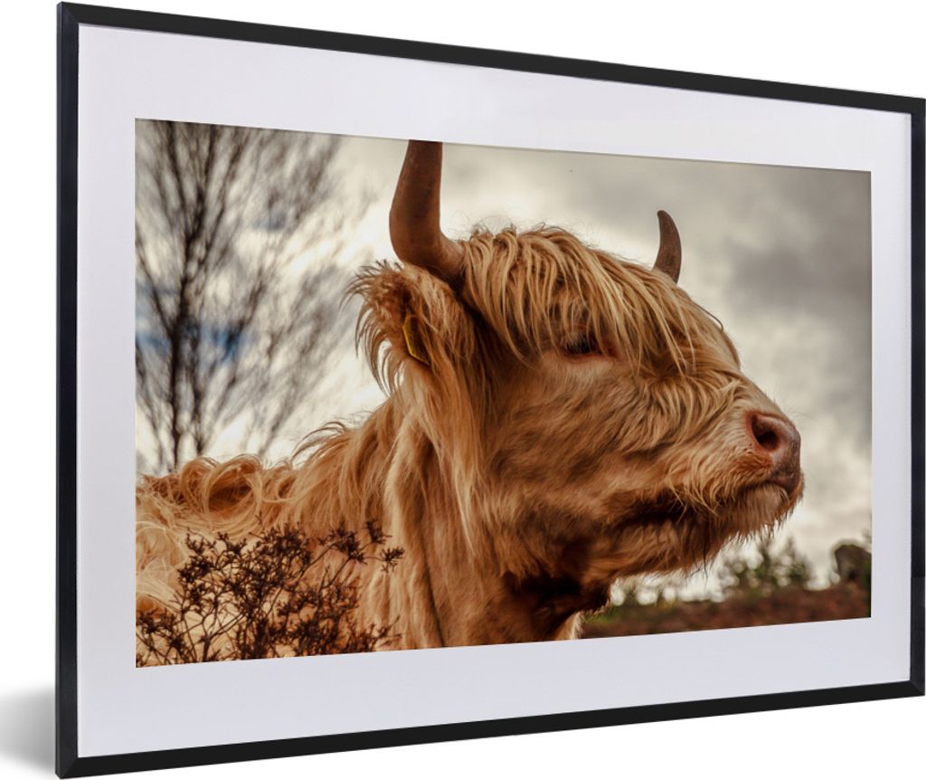 MuchoWow Gerahmtes Poster Scottish Highlander - Strauch - Heidekraut 60x40 cm - Poster mit Schwarzem Bilderrahmen Wandposter Rahmen Foto Bilder -...